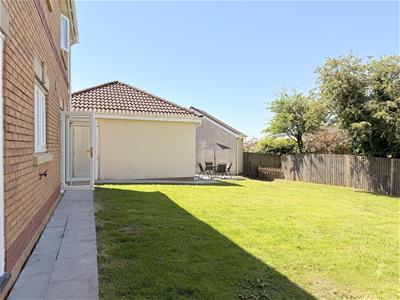 Picture 23